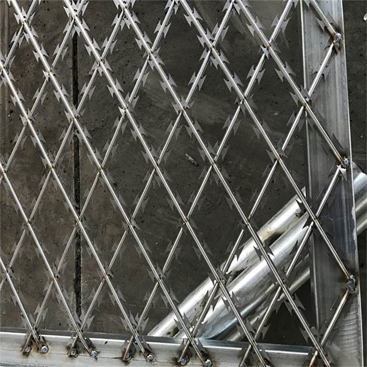 內(nèi)蒙古監(jiān)獄刀片刺網(wǎng)護(hù)欄